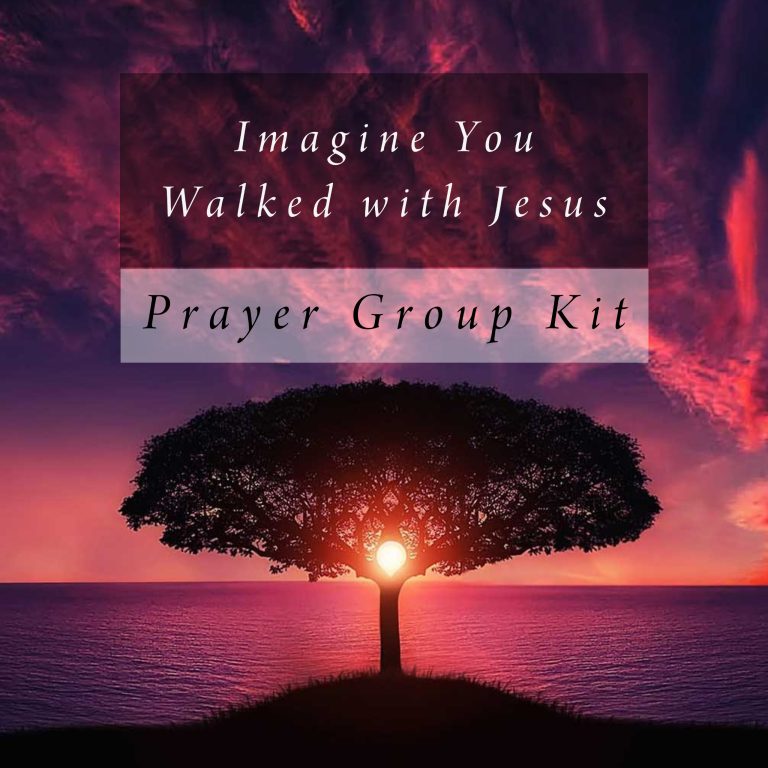 Imagine You Walked with Jesus Prayer Group Kit