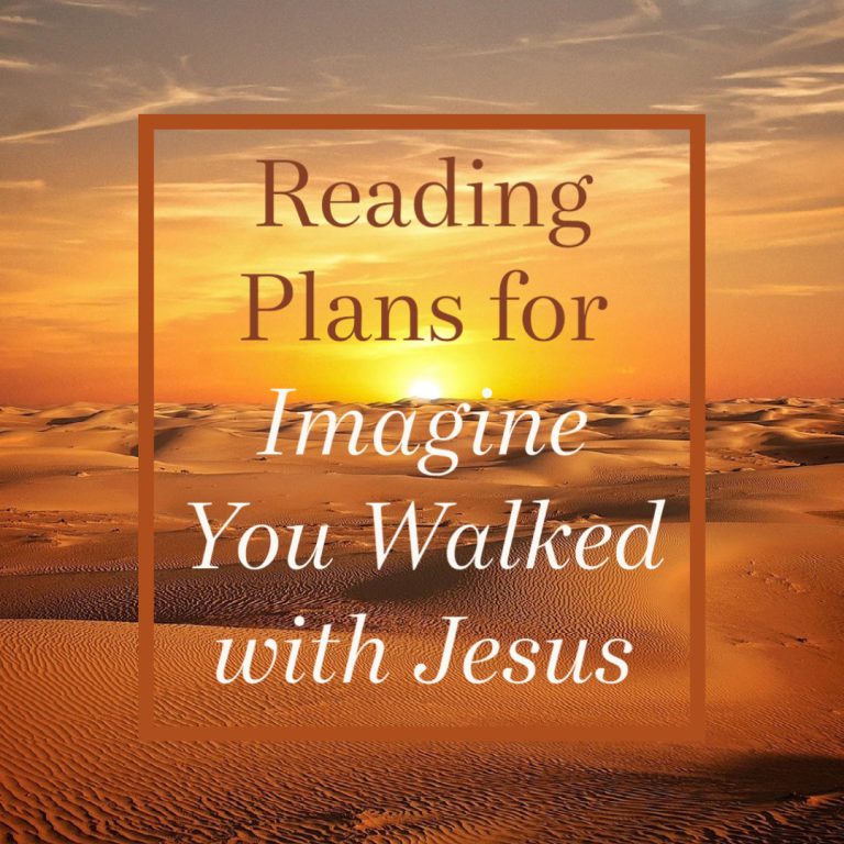 Imaginative Prayer Reading Plans (PDF)